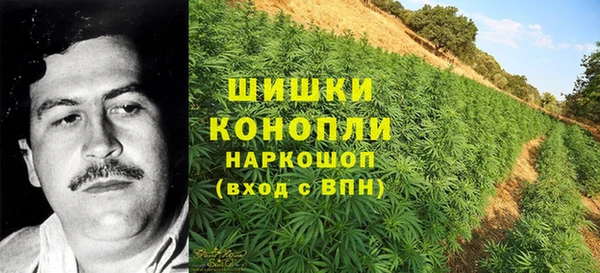 гашик Ладушкин