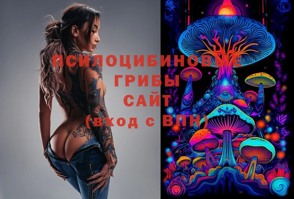 не бодяженный Алексин