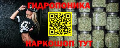 спиды Кимры