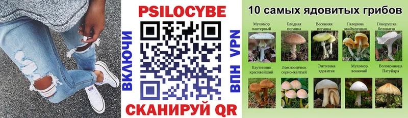 наркотики Томск Псилоцибиновые грибы Psilocybe