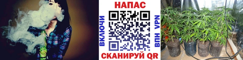 Канабис план  Томск 